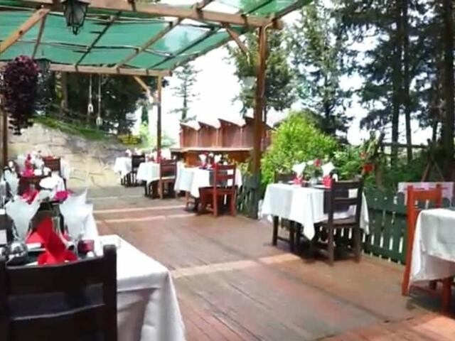 фото отеля Agva Orman Evleri (Forest Lodge) изображение №17