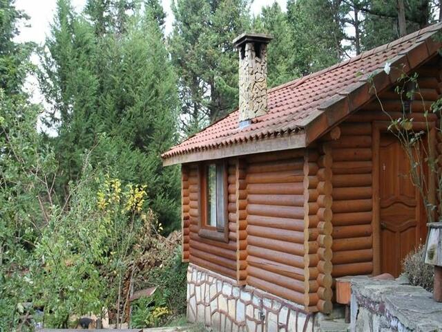 фото отеля Agva Orman Evleri (Forest Lodge) изображение №37