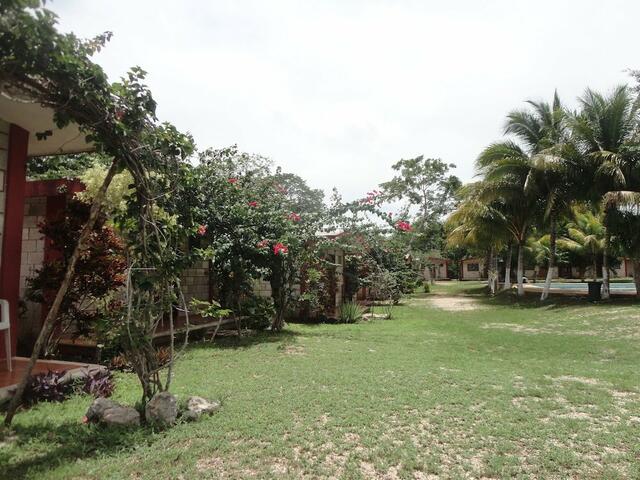 фото отеля Cenotes Cabañas Suytun изображение №9