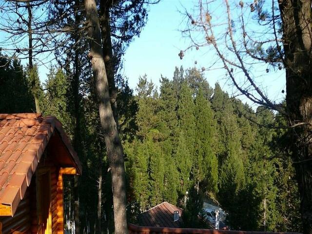 фотографии отеля Agva Orman Evleri (Forest Lodge) изображение №7