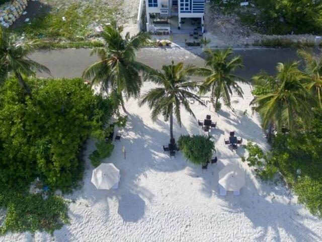 фотографии отеля Whiteharp Beach Inn изображение №3