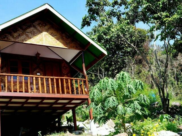 фото отеля Phi Phi Jungle Hill Bungalow изображение №1