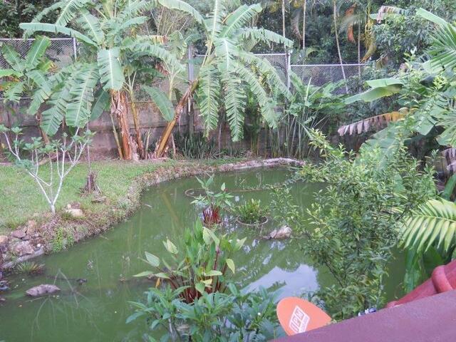 фото Frog and Catfish Country Inn Krabi изображение №2