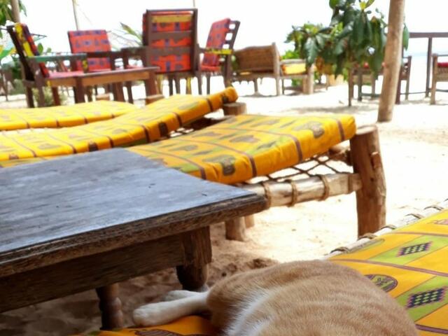 фото Sipano Beach Lodge Zanzibar изображение №18