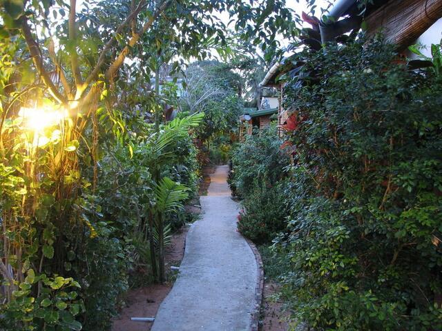фотографии отеля Nhat Huy Garden Guesthouse изображение №3