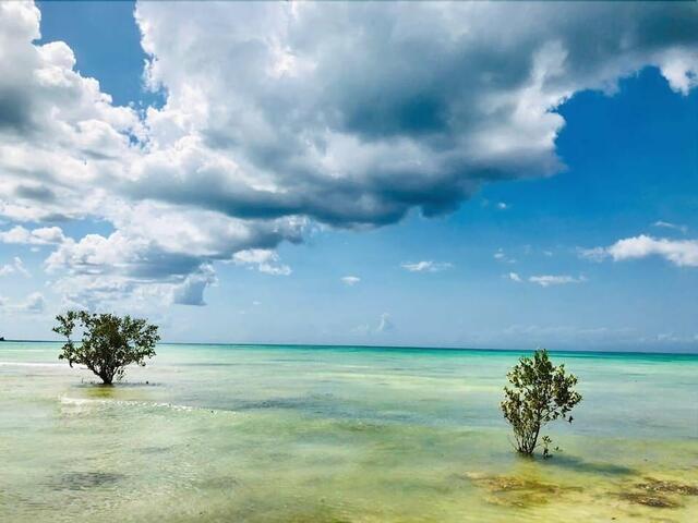 фото отеля White Paradise Zanzibar изображение №5