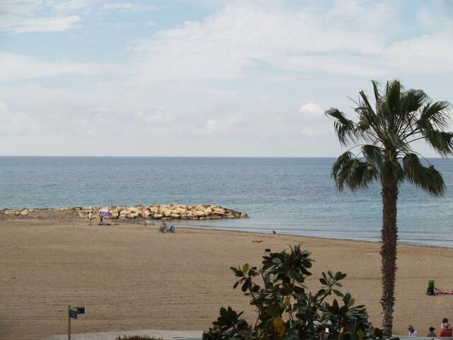 фото Horta del Mar изображение №2