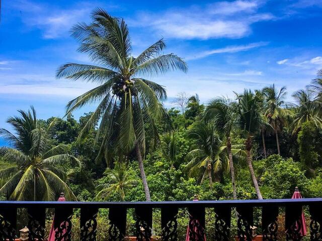 фотографии отеля Samui Green Palm Resort изображение №19