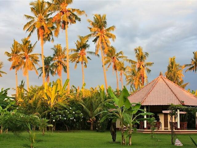 фотографии отеля Bali Oase Resort изображение №3