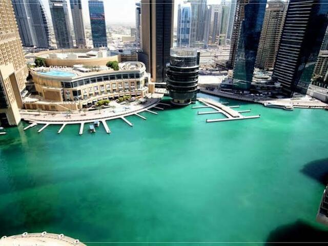 фотографии Dubai Apartments - Marina - Bay Central изображение №4
