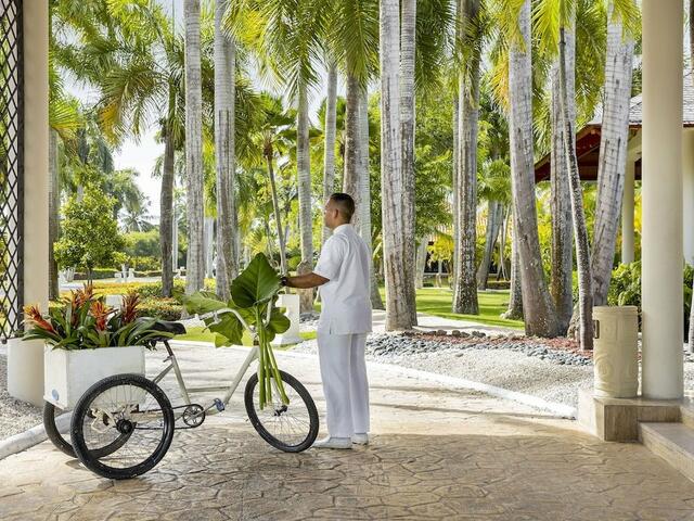 фото отеля Royal Service at Paradisus Punta Cana - Adults Only All Inclusive изображение №9