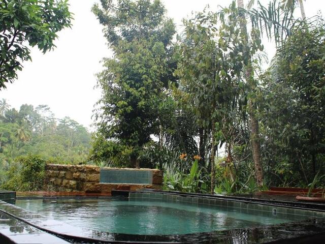 фотографии Madu Puri Spa Villa изображение №8