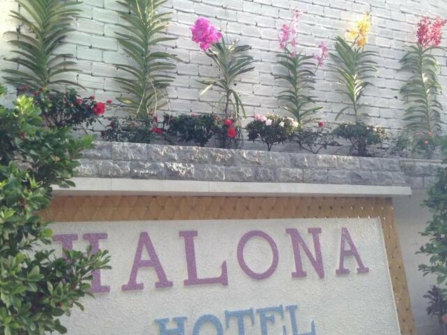фотографии отеля Halona Hotel изображение №3