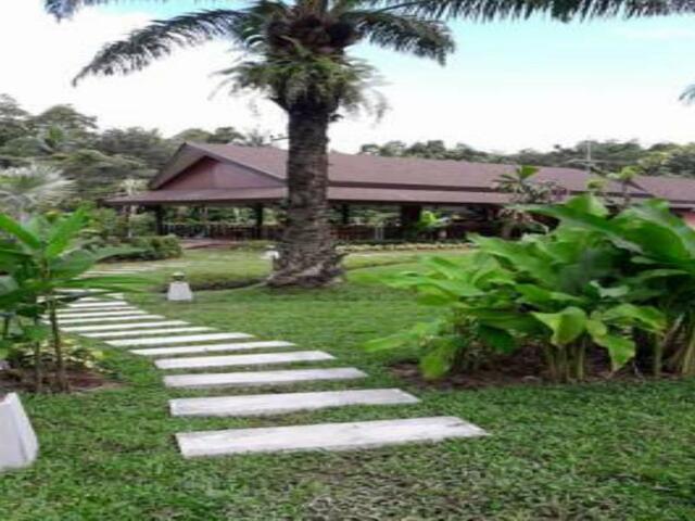фото отеля Palm Kiri Resort изображение №9
