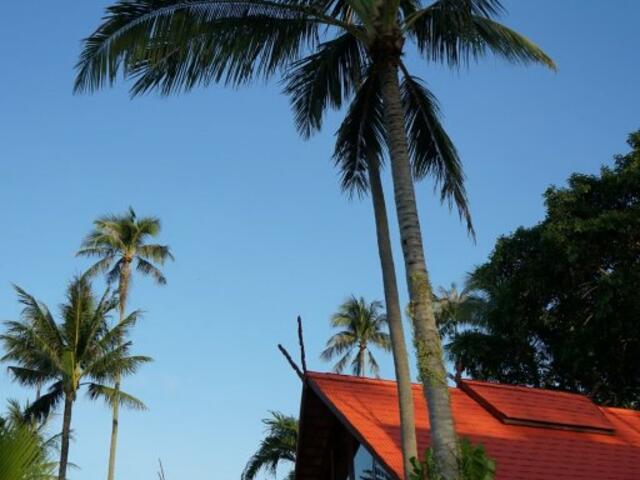фотографии Green Coconut Village C3 изображение №4