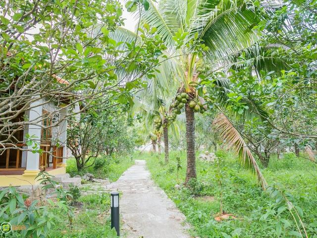 фотографии отеля Phu Quoc Pomelo Garden изображение №3