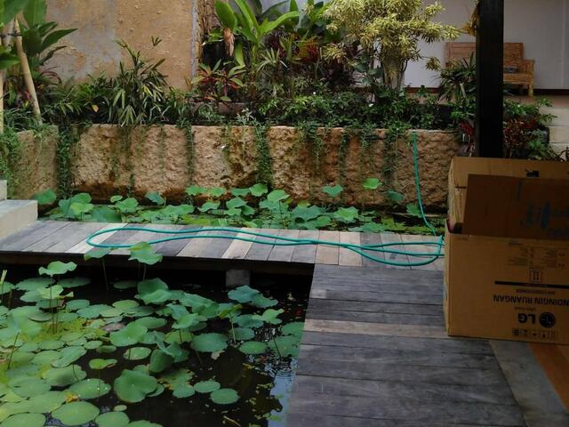 фотографии отеля Lotus Villa Ubud изображение №7