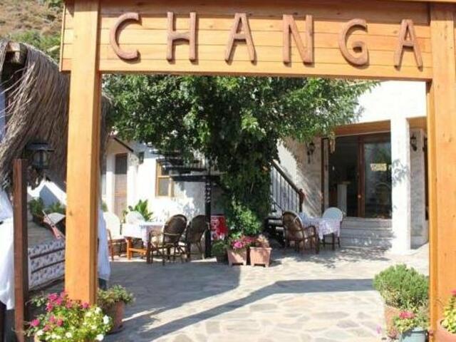 фотографии отеля Changa Hotel изображение №3