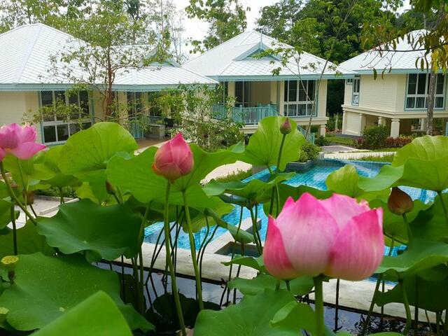 фотографии отеля Na Sook Resort изображение №3
