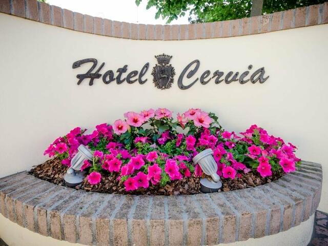 фотографии отеля Hotel Cervia изображение №3