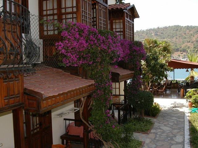 фото Hotel Villa Daffodil изображение №14