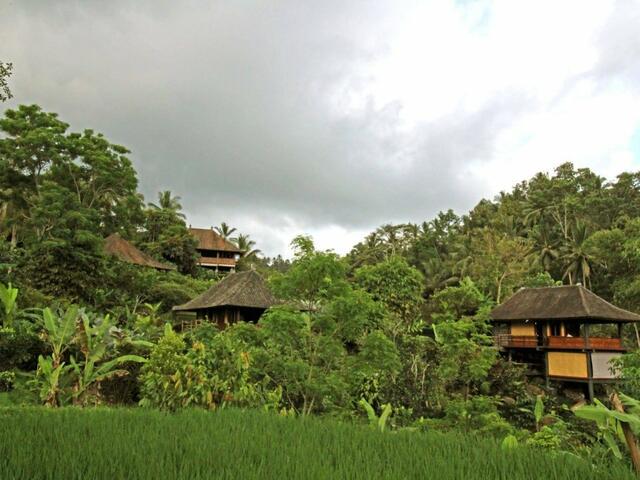 фото Bali Eco Stay изображение №2