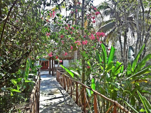 фото отеля Hacienda San Miguel изображение №5
