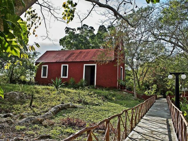 фото Hacienda San Miguel изображение №14