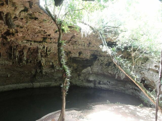 фото Cenotes Cabañas Suytun изображение №14