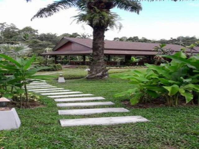 фотографии Palm Kiri Resort изображение №8