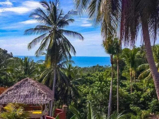 фотографии отеля Samui Green Palm Resort изображение №3