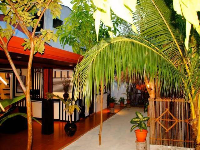 фотографии отеля Equator Beach Inn at Maafushi изображение №3