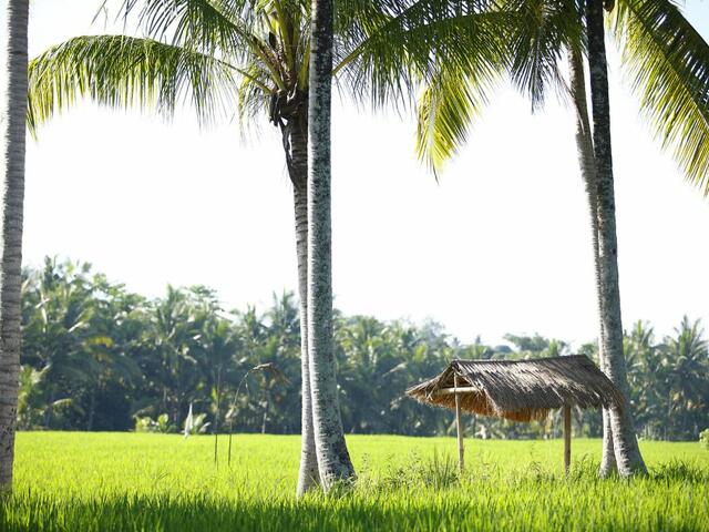 фото отеля Luxe Villas Bali изображение №5