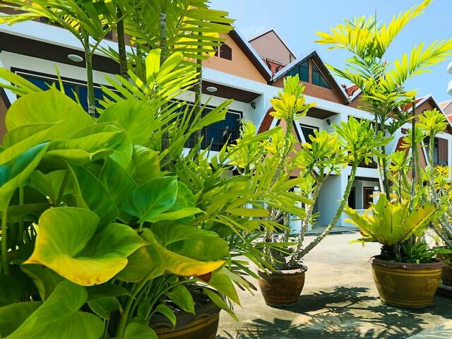 фото Corrib Village South Beach Beach Pattaya изображение №2