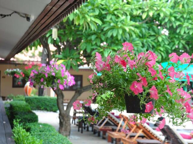 фотографии Sabai Resort Pattaya изображение №8