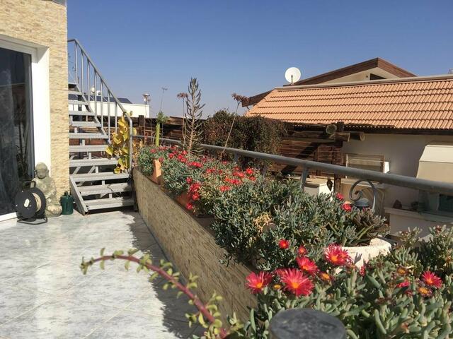 фото Penthouse in Eilat изображение №2