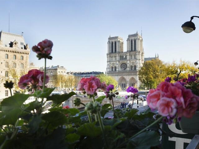 фото Les Rives de Notre-Dame изображение №6