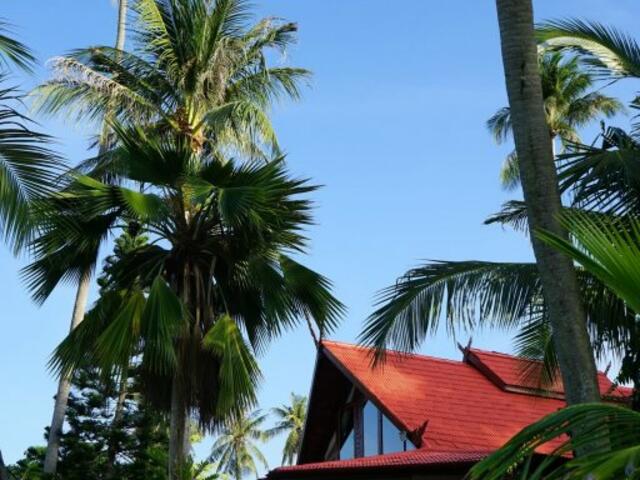 фотографии отеля Green Coconut Village C3 изображение №3