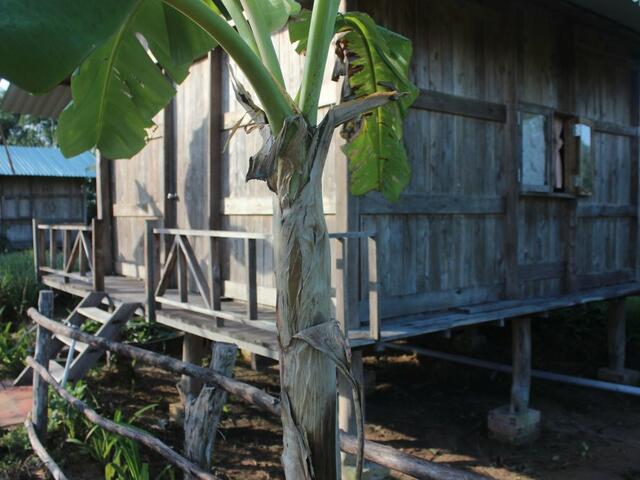 фотографии Pepper Farm Phu Quoc Bungalow изображение №44