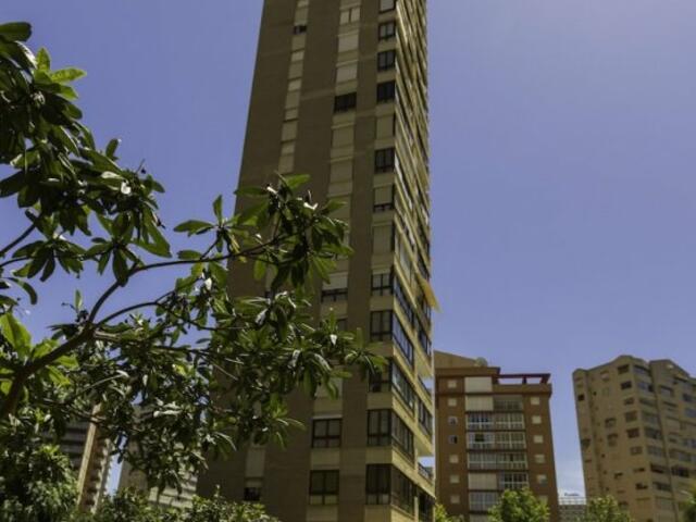фото Apartamentos Gemelos 4 - Beninter изображение №10