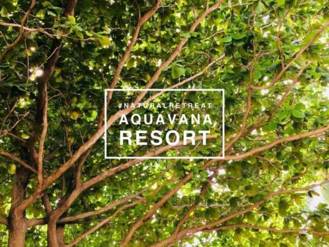 фотографии отеля Aquavana Haad Rin Resort изображение №3