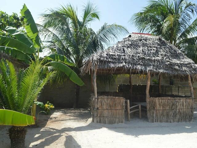 фотографии отеля Zanzibar Dream Lodge изображение №3