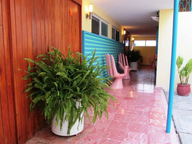 фото Hotel Maria Guadalupe изображение №30