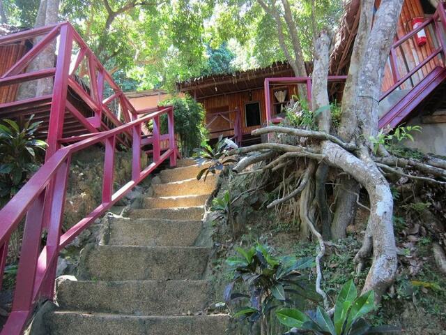 фотографии отеля Bamboo Mountain View Phi Phi Resort изображение №15