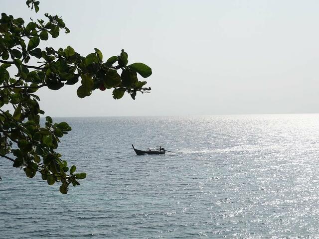 фото The Cove Phi Phi изображение №14