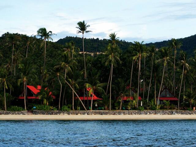 фото Green Coconut Village C3 изображение №10