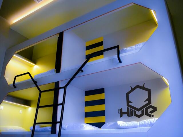 фото отеля The Hive Party Hostel изображение №1