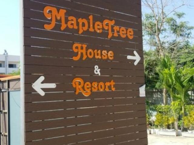 фотографии отеля Maple Tree Resort изображение №3