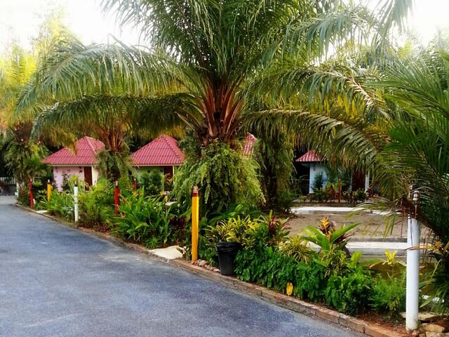 фото отеля Phana Resort изображение №5