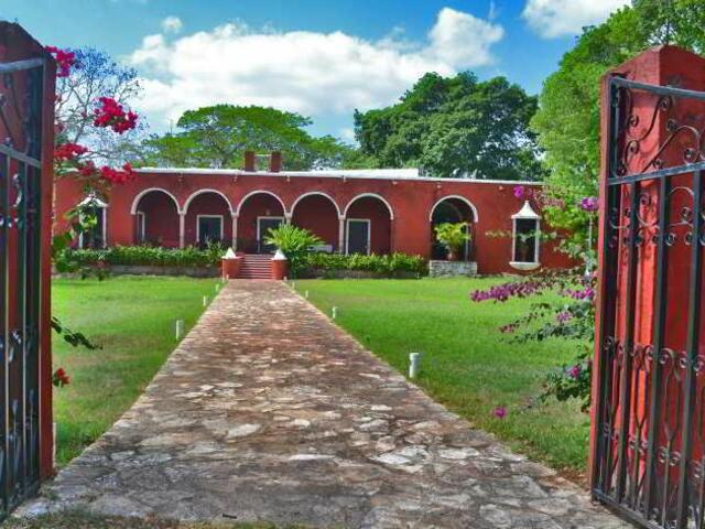 фото отеля Hacienda San Miguel изображение №17